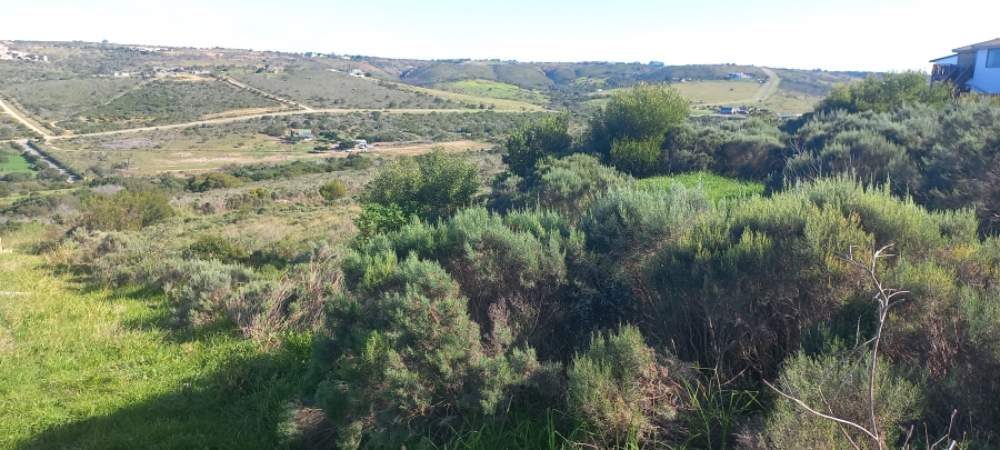 0 Bedroom Property for Sale in Seemeeu Park Western Cape